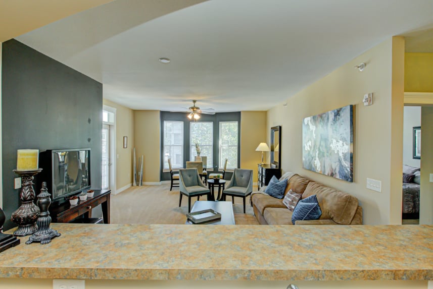 Living room in Noblesville apartment